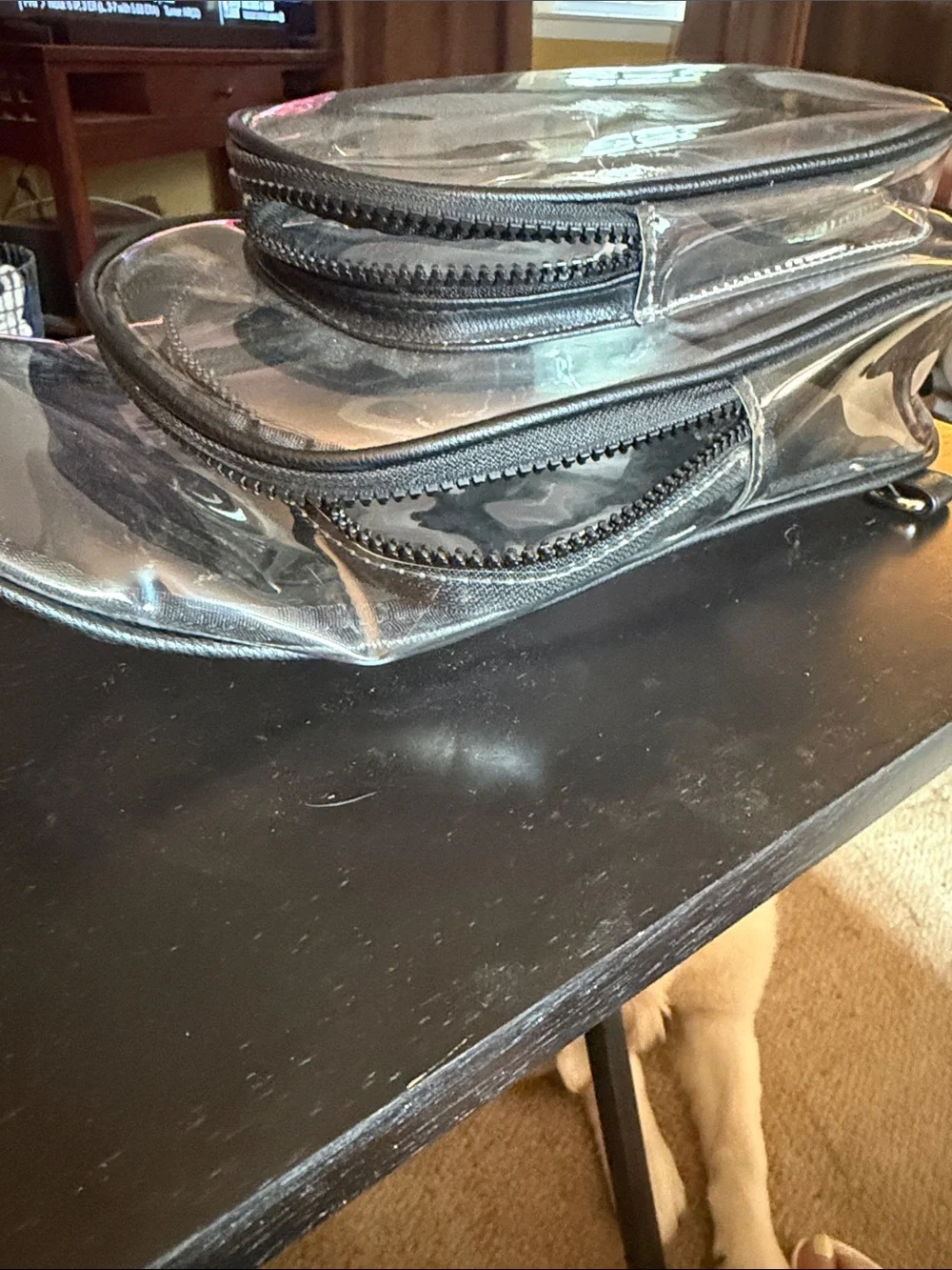 Clear PVC Black-Trim Crossbody Bag
